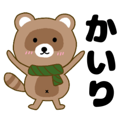 Raccoon2 Kairi