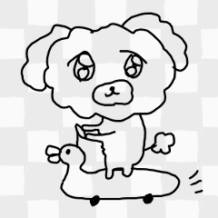 The unmotivated transparent Toy Poodle