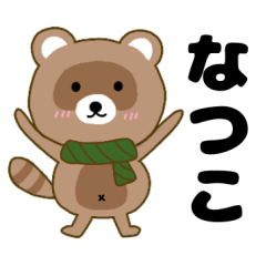 Raccoon2 Natuko
