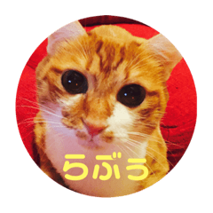 CHISATO_20181201162949