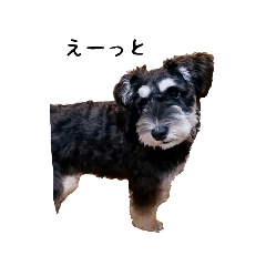 みにちゅあしゅなうざー