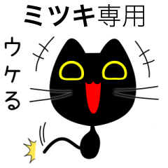 【ミツキ】専用の黒猫です
