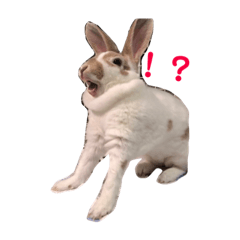 natsumi_20181201212415