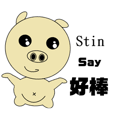 Stin's name sticker-personal