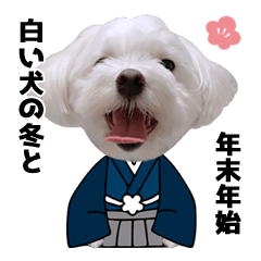 白い犬と冬と年末年始 Line スタンプ Line Store