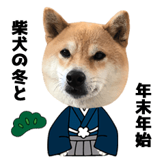 柴犬の冬と年末年始 Line スタンプ Line Store