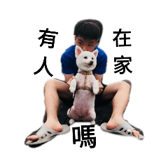 游倫在家嗎第二彈