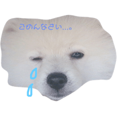 Muu 1