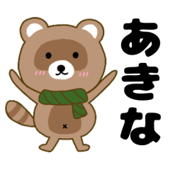 Raccoon2 Akina