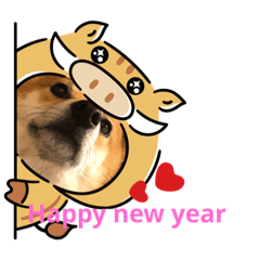 hana_20181128230204