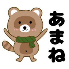 Raccoon2 Amane