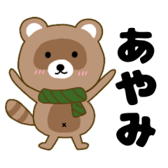Raccoon2 Ayami