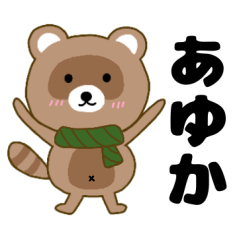 Raccoon2 Ayuka