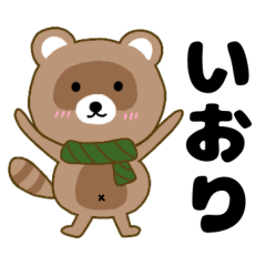 Raccoon2 Iori