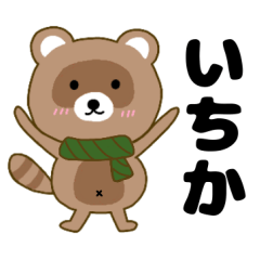 Raccoon2 Itika