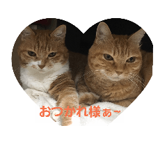 maichin_20181128203443
