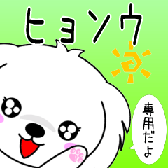 Hyonu only Cute Maltese Sticker