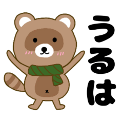Raccoon2 Uruha