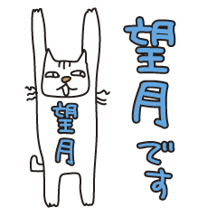Only for Mr. Mochizuki Banzai Cat