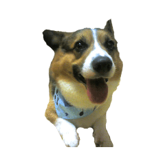 SATOSHI_20181201153431