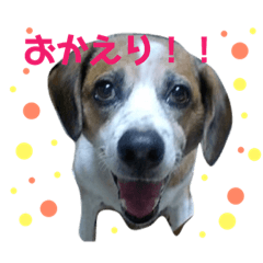 pocky kun sticker