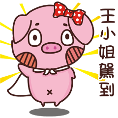 Coco Pig -Name stickers - Miss King