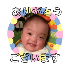 Panda_20181201090247
