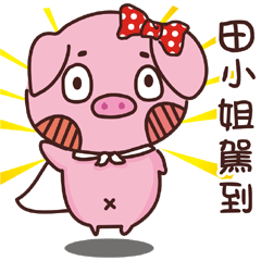 可可豬-姓名貼-田小姐