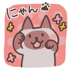 Siamese cat "Konbu"
