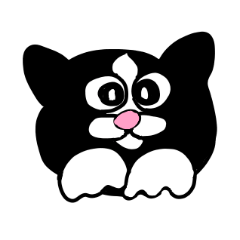 Cute cat Omochi
