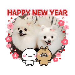 Hana & Mari's New Year's Stamp 2019