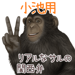 Koike 1 Monkey's real myouji