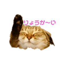 chappy_20181203181412