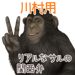 Kawamura 1 Monkey's real myouji
