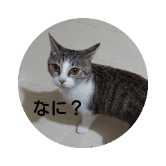 saori_20181203204338