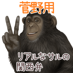 Kanno 1 Monkey's real myouji