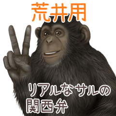 Arai 2 Monkey's real myouji