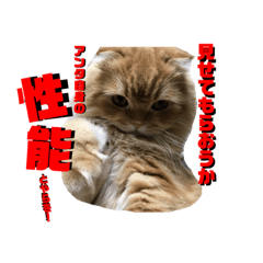 yk_20181202193323