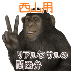 Nishiyama Monkey's real myouji
