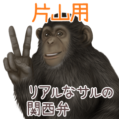 Katayama Monkey's real myouji