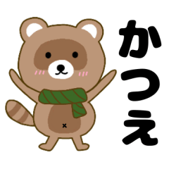 Raccoon2 Katue
