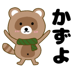 Raccoon2 Kazuyo