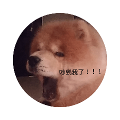 喜妹