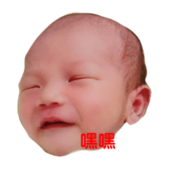 卡迪那日常用語❤️