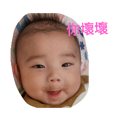 楷博Daily life 2