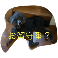 Kaho_20181204012006
