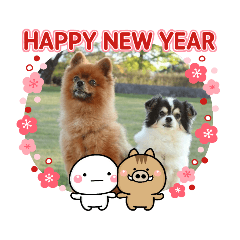 Coo & Pon's New Year's card stamp 2019