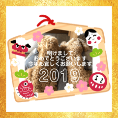 Mie_20181202212350