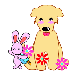 Feeling of mongrel dog KORO