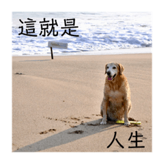 財福喜日常no1